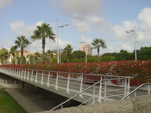 Fotos 360 Puente de flores. #VidePan por #Valencia