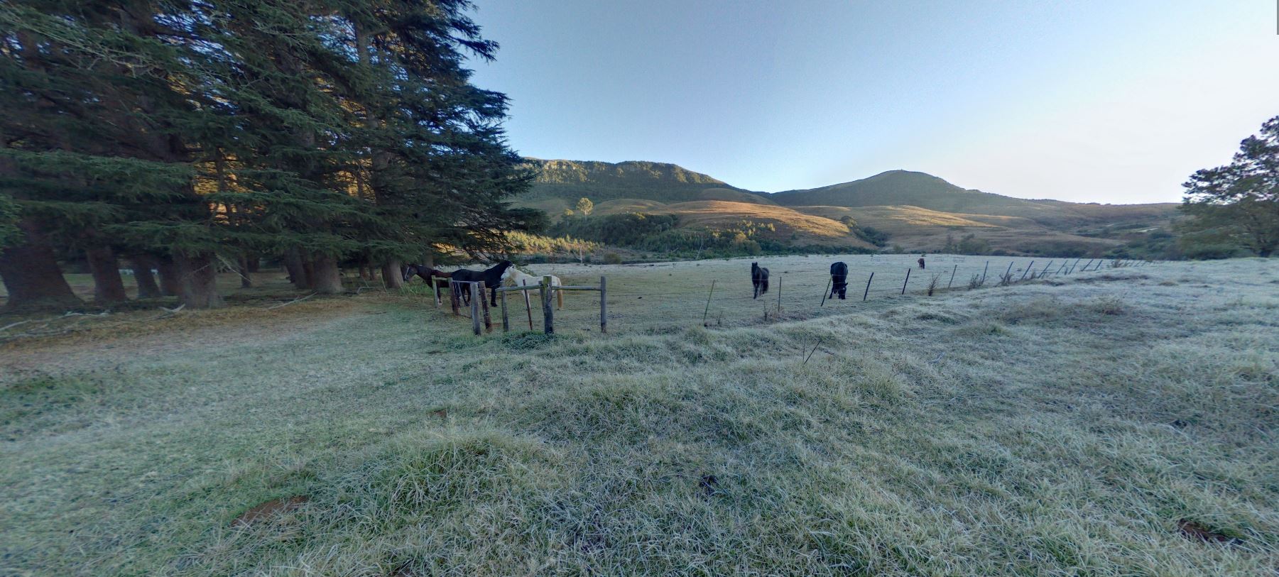 Foto 360 Mañana fría con caballos