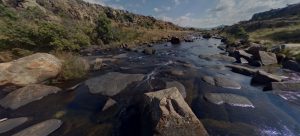 Foto-360-Relax-en-el-río-bajo-la-BosKombuis