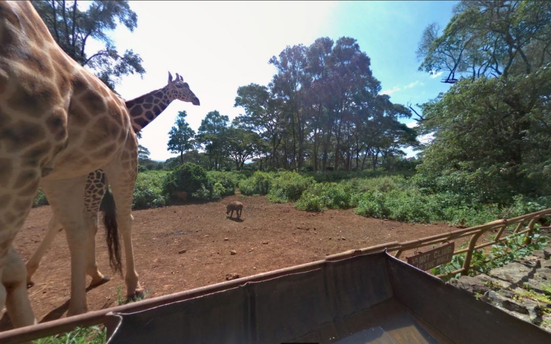 Foto 360 Giraffe Center, Nairobi