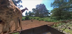 Foto 360 Giraffe Center, Nairobi